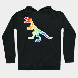 Rainbow dinosaur Hoodie